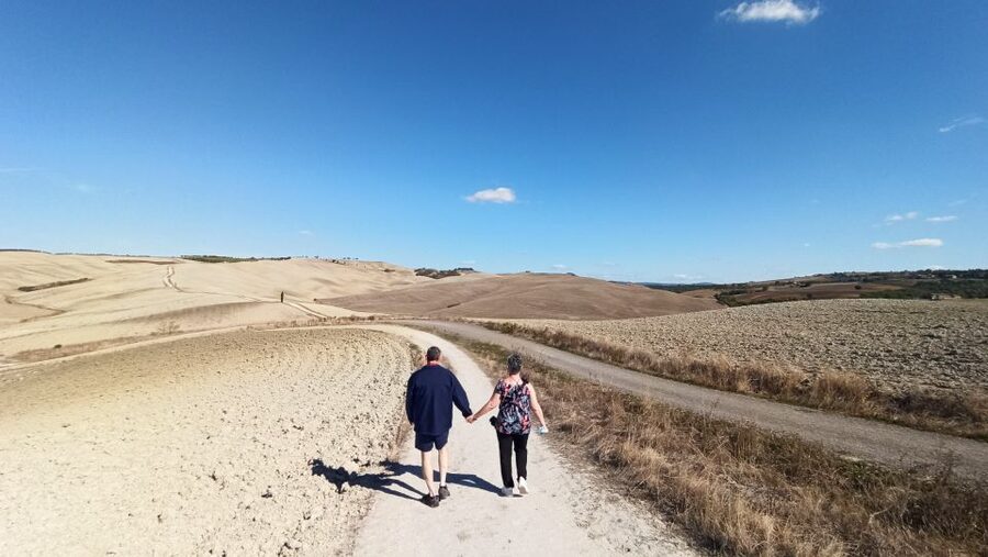 Florence: Valdorcia Wine, Brunello Montalcino, Montepulciano - Is $265 a fair price?