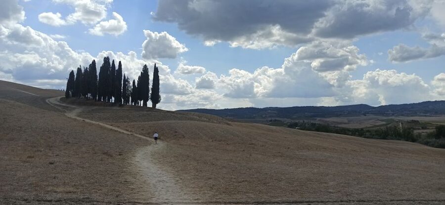 Florence: Valdorcia Wine, Brunello Montalcino, Montepulciano - Who should book this day trip?