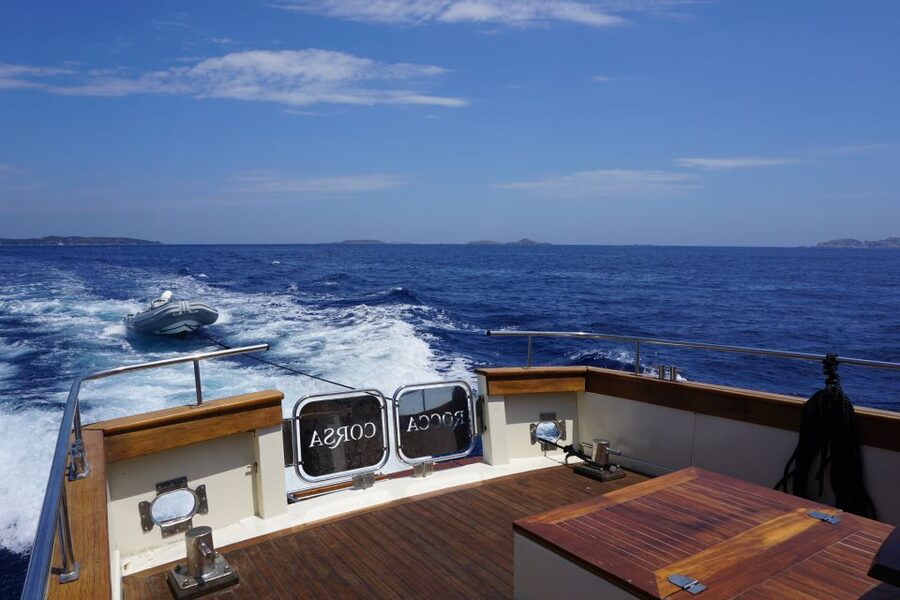 Forio: Ischia Island Boat Tour with Local Lunch and Swimming - Who will enjoy this Ischia boat day?