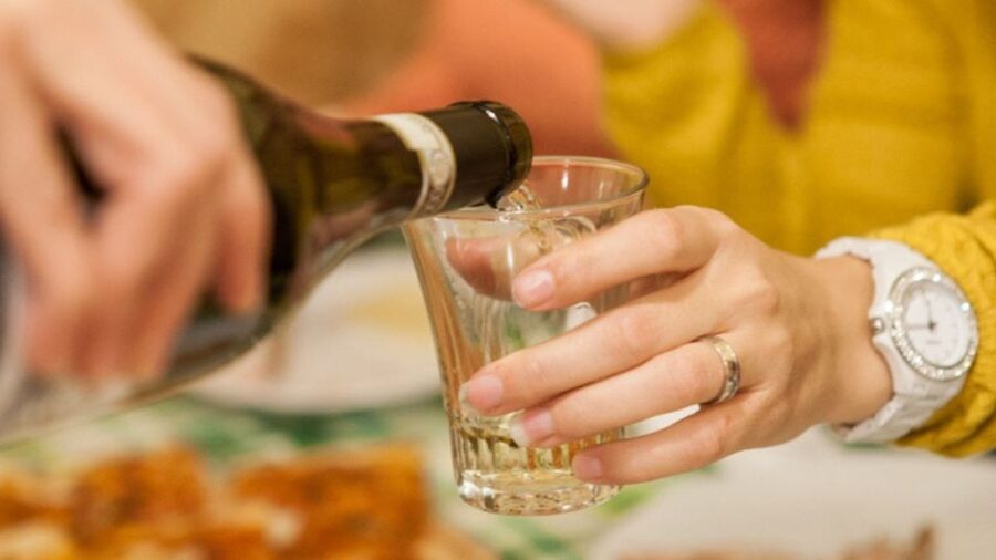 Frascati Wine Road from Rome: Tasting & Lunch - Lunch in a traditional Frascati trattoria