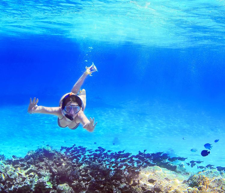 From Amalfi: Capri Island Boat Tour with Snorkeling & Drinks - Starting at Amalfi’s Darsena pier