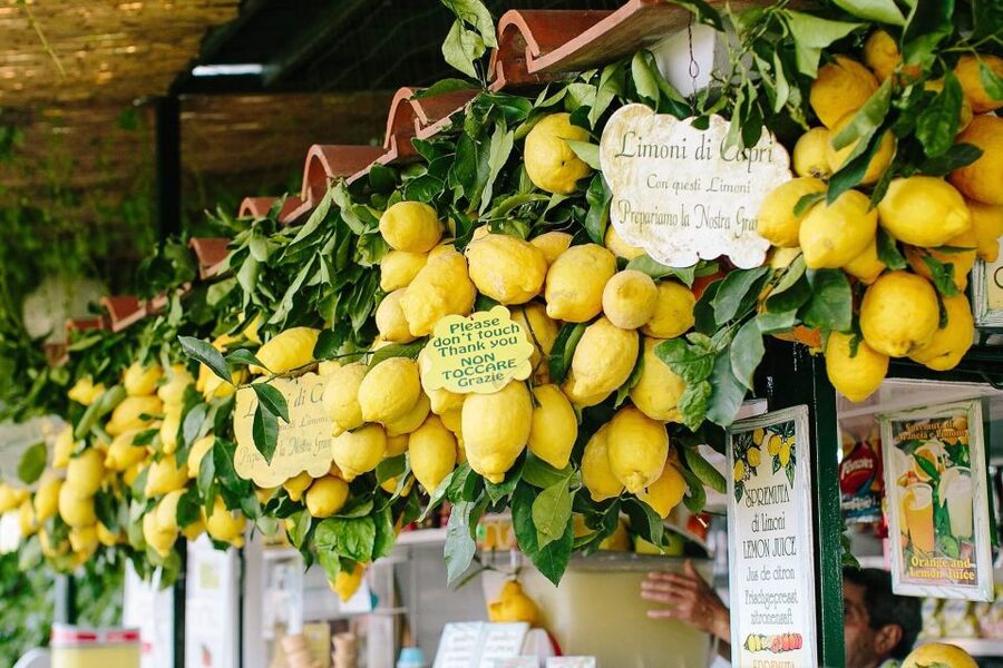 From Amalfi: Li Galli Islands and Capri Full-Day Boat Tour - What the $236.77 price really buys