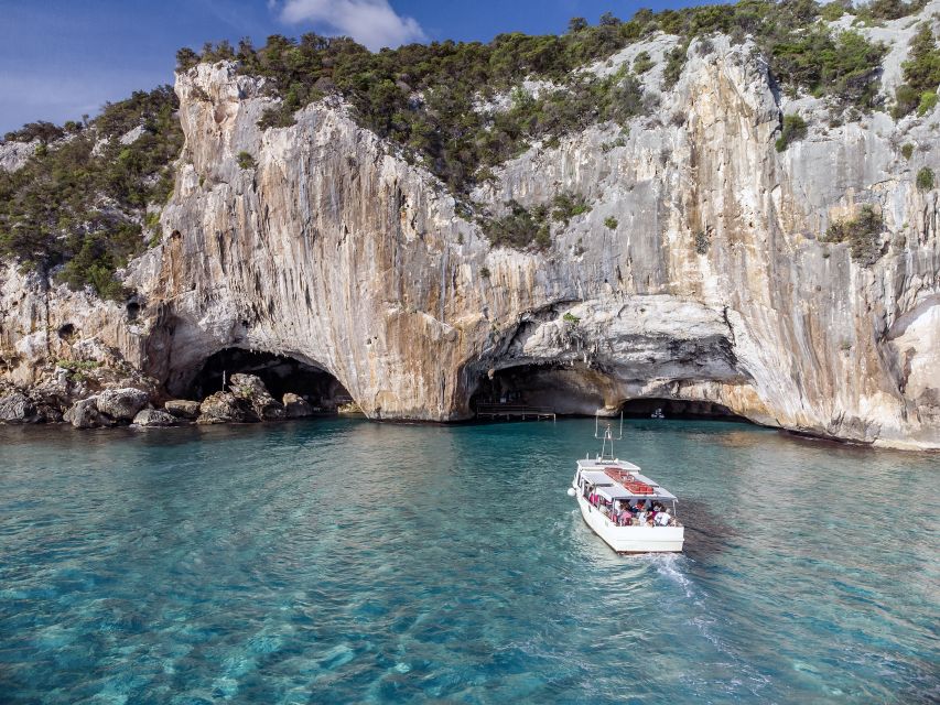 From Cala Gonone: Grotta del Bue Marino Boat Trip - Should you book the Grotta del Bue Marino trip?