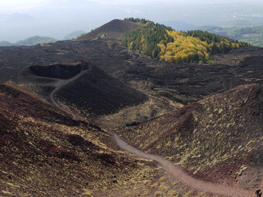From Catania: Etna tour by Panoramic Bus - Rifugio Sapienza at 2,000 meters