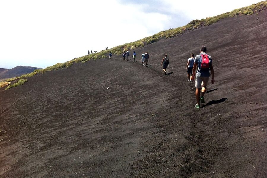 From Catania: Mount Etna Half-Day Tour and Wine Experience - Who should book this Etna wine tour
