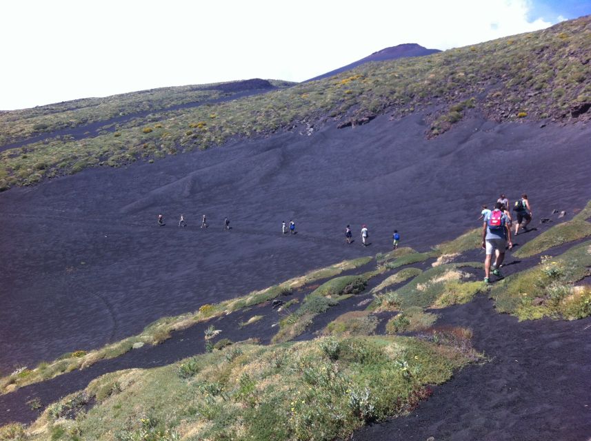 From Catania: Mount Etna Half-Day Tour and Wine Experience - The stop in Zafferana Etnea and Etna wine