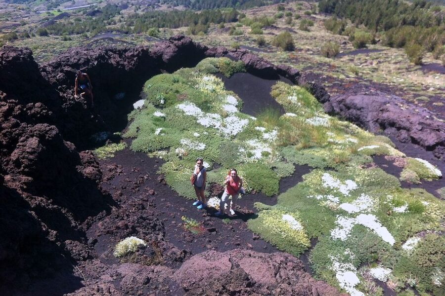 From Catania: Mount Etna Half-Day Tour and Wine Experience - The food pairing is closer to lunch