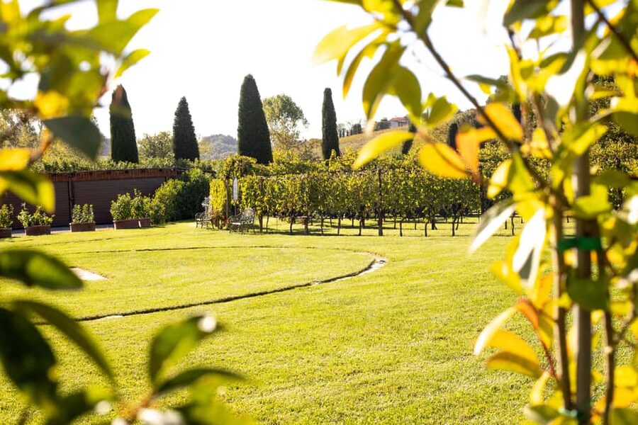 From Florence: Chianti Half-Day Afternoon Tour - Getting from Florence to Villa Costanza