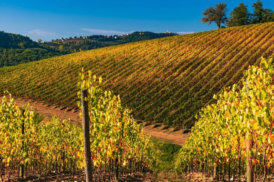 From Florence: Chianti Hills Half-Day Tour with Wine Tasting - The vinegar cellar and Tuscan pantry