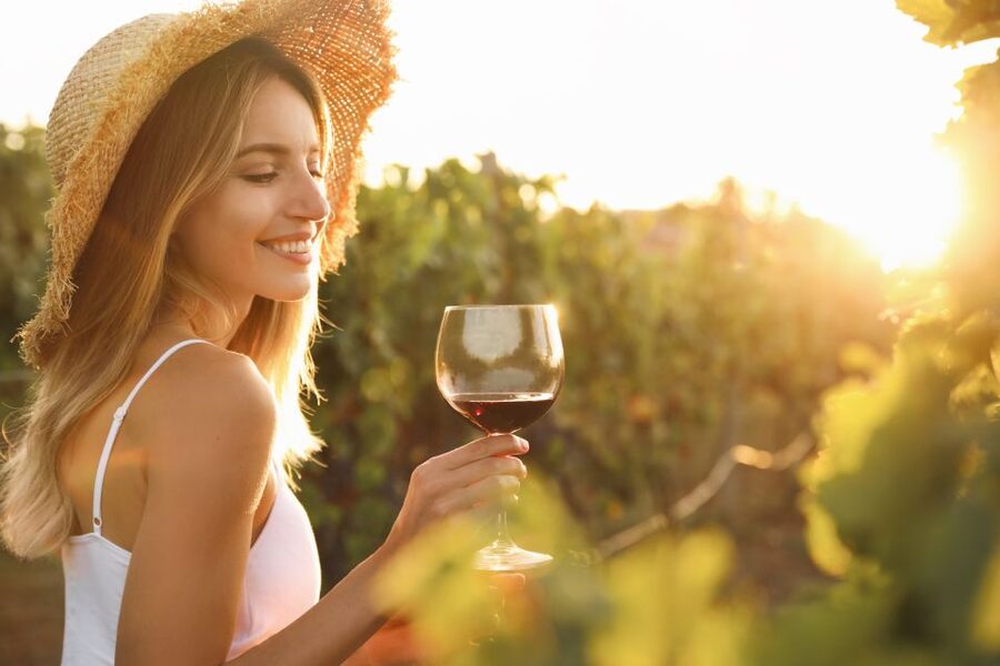 From Florence: Chianti Hills Half-Day Tour with Wine Tasting - Guides, drivers, and the group experience