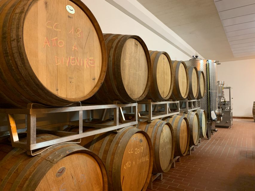 From Florence: Chianti Hills Half-Day Tour with Wine Tasting - Is $48 good value?