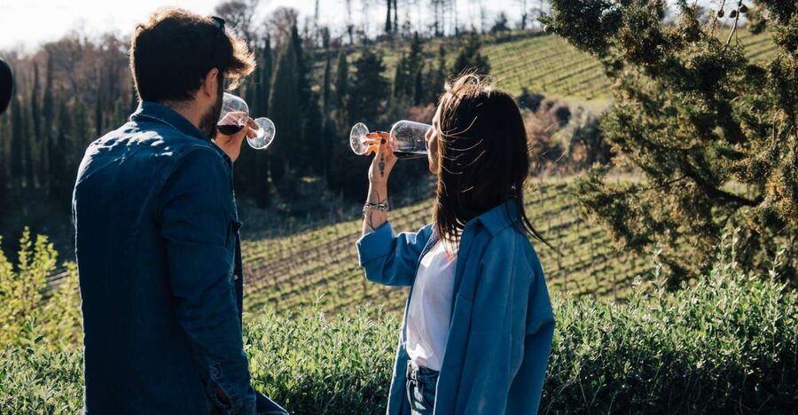 From Florence: Chianti Hills Half-Day Tour with Wine Tasting - Walking between the Chianti vines