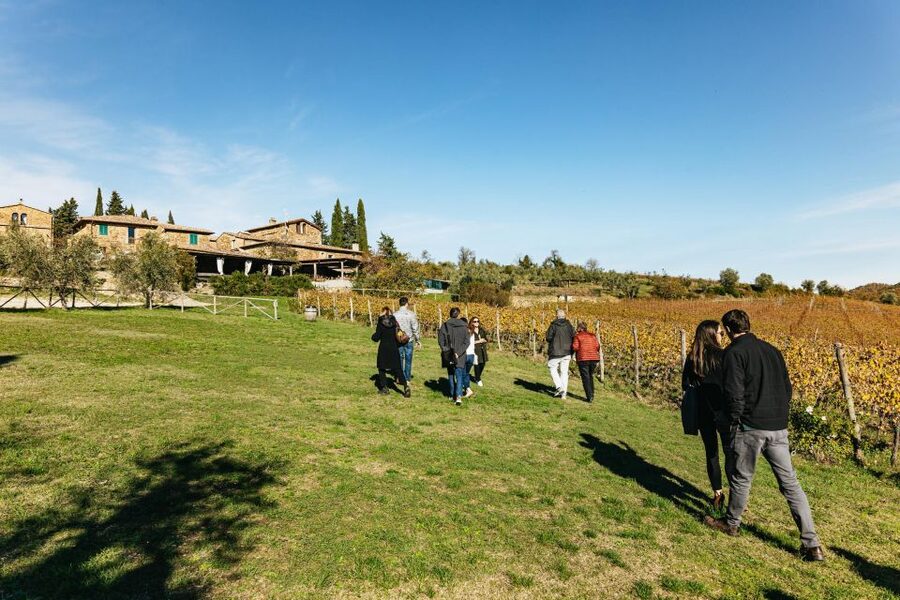 From Florence: Chianti Wine and Food Tasting Safari - The second estate and Chianti Classico