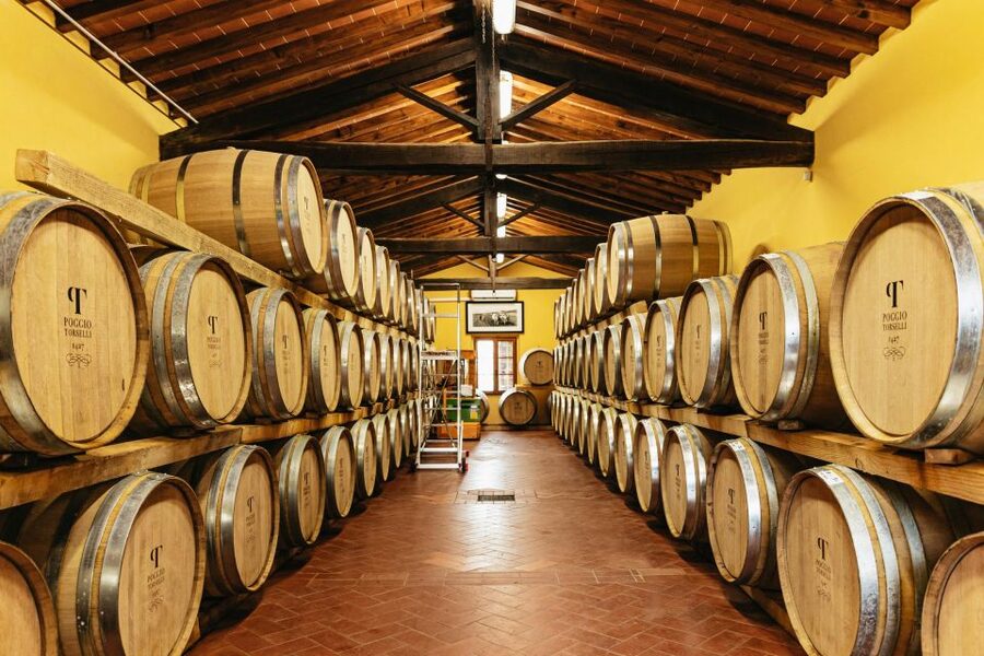 From Florence: Chianti Wine and Food Tasting Safari - Who should book this Chianti safari?