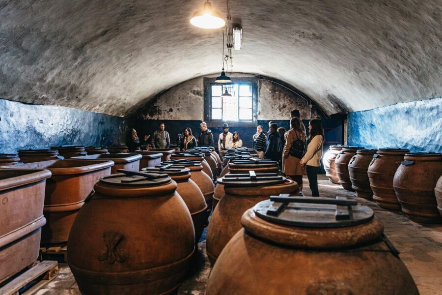 From Florence: Chianti Wine and Food Tasting Safari - The aristocratic estate and its underground tunnels