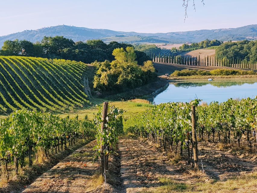 From Florence: Chianti Wine Tastings at Sunset Day Trip - Key things to know before booking