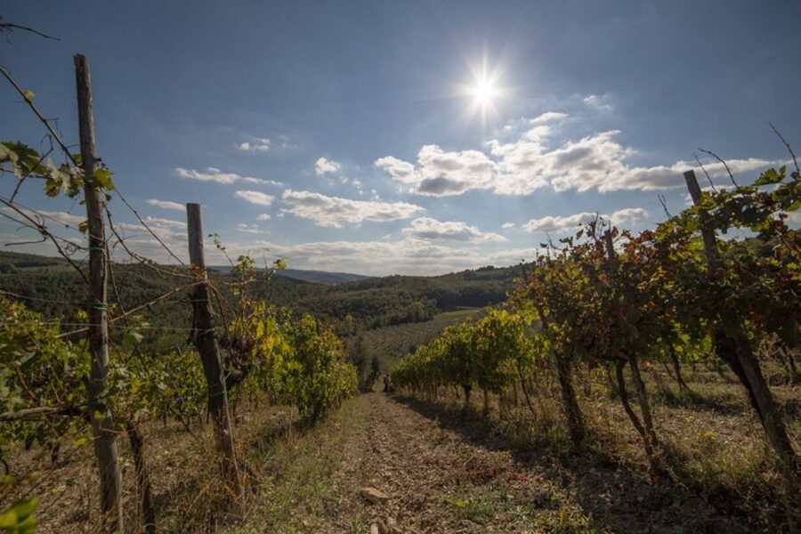 From Florence: Chianti Wine Tastings at Sunset Day Trip - Leaving Florence for the Chianti hills