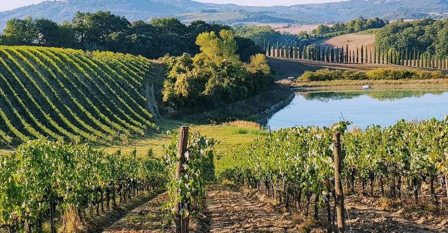From Florence: Chianti Wine Tastings at Sunset Day Trip - Greve in Chianti and the first taste of rural Tuscany