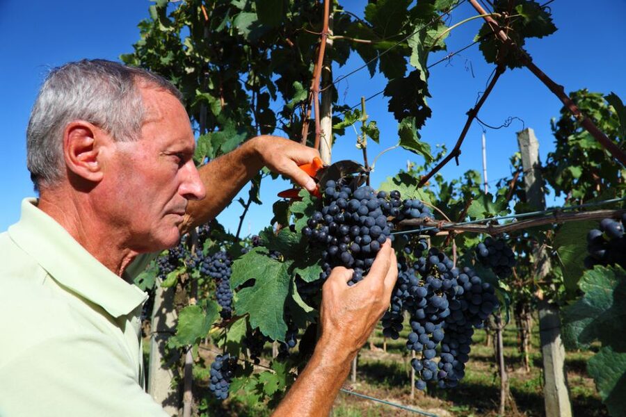 From Florence: Chianti Wine Tour with Tasting - Is $41 a fair price?