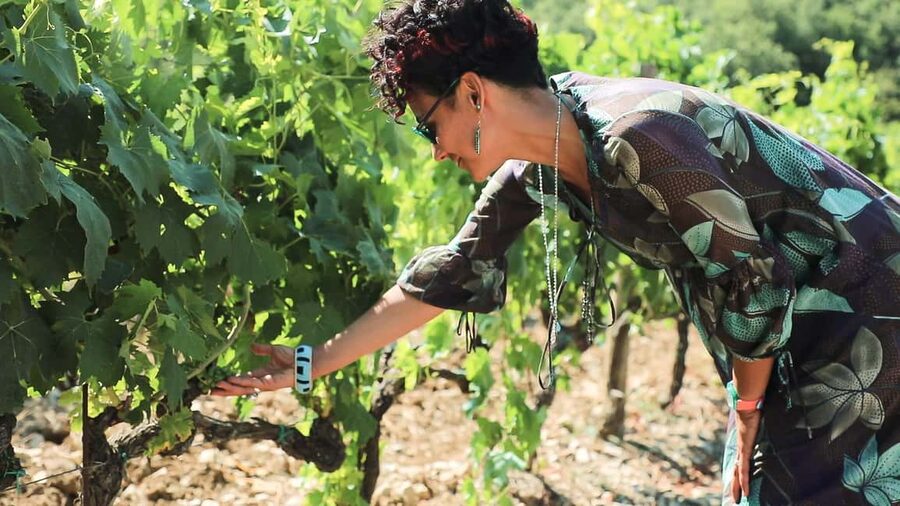 From Florence: Chianti Wine Tour with Tastings - Key points to know before booking