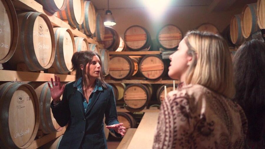 From Florence: Chianti Wine Tour with Tastings - Is the five-hour schedule enough?