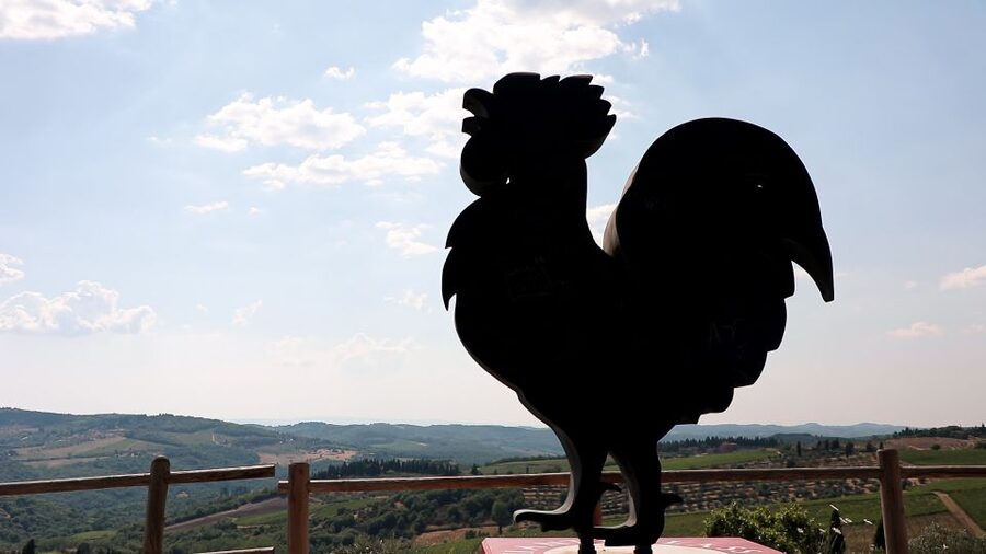From Florence: Chianti Wine Tour with Tastings - Who should book this half-day outing?