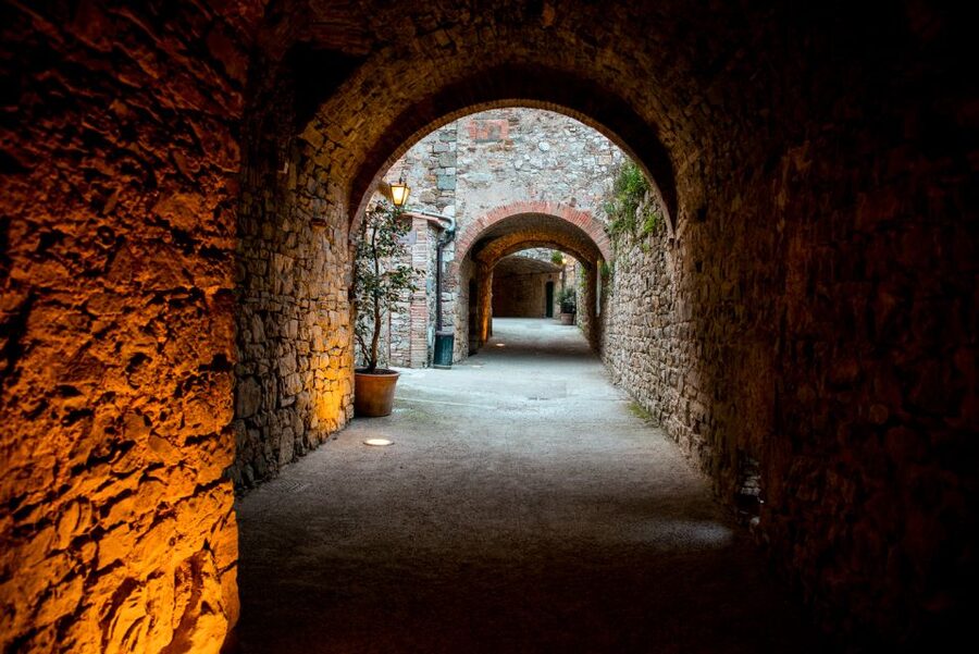 From Florence: Private Chianti Hills Tour with Tasting - Who should book this afternoon in Chianti?