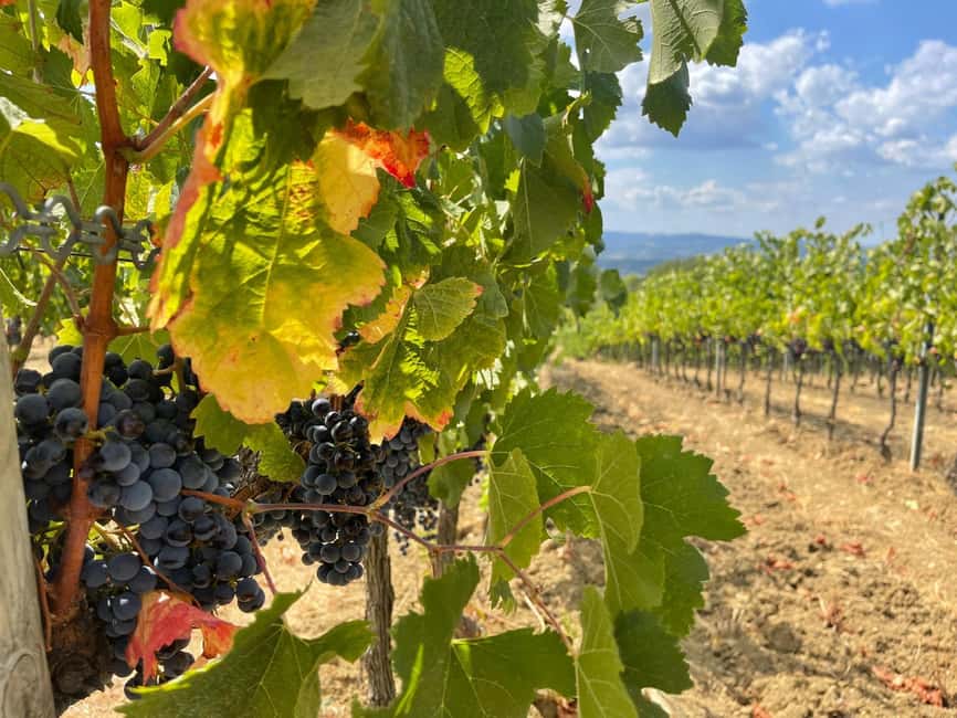 From Florence: Tuscany & San Gimignano Tour with 2 Tastings - The one-hour ride into Chianti