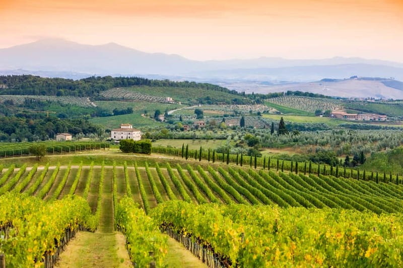 From Florence: Tuscany Wine & Food Tour with Guide - Final stop: a family villa with views toward Florence