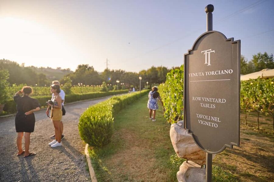 From Florence: Wine Tasting and Dinner in Chianti Vineyards - Key points to know before booking