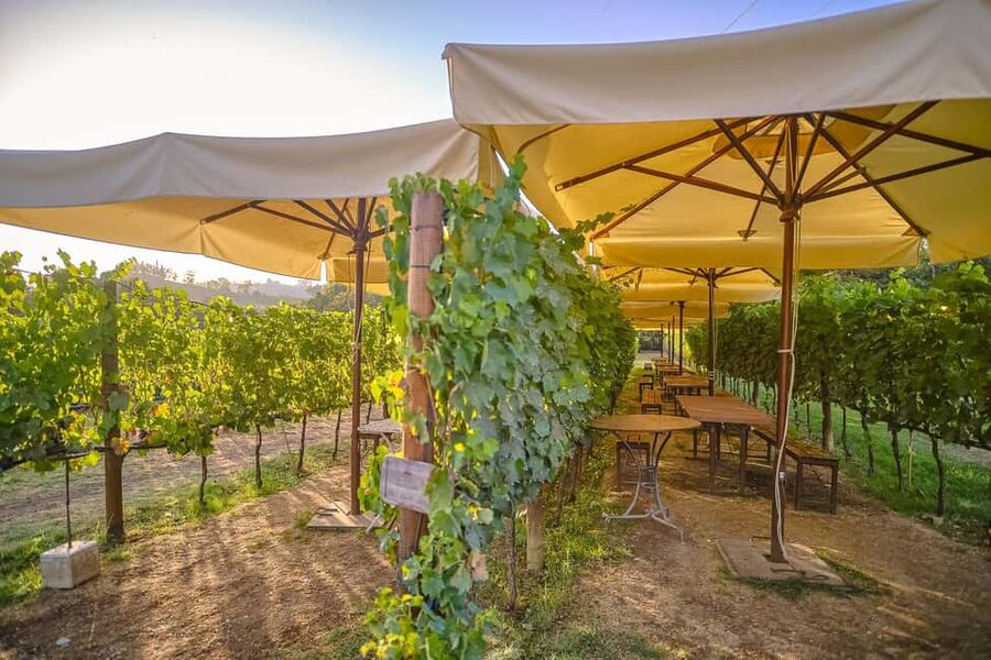 From Florence: Wine Tasting and Dinner in Chianti Vineyards - Leaving Florence for the Chianti hills
