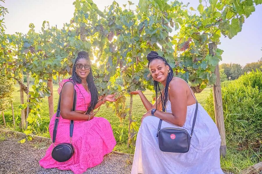 From Florence: Wine Tasting and Dinner in Chianti Vineyards - Who should book this Chianti outing?