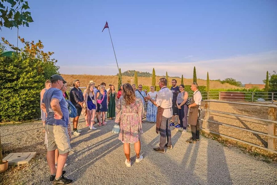 From Florence: Wine Tasting and Dinner in Chianti Vineyards - Practical tips for a smoother evening