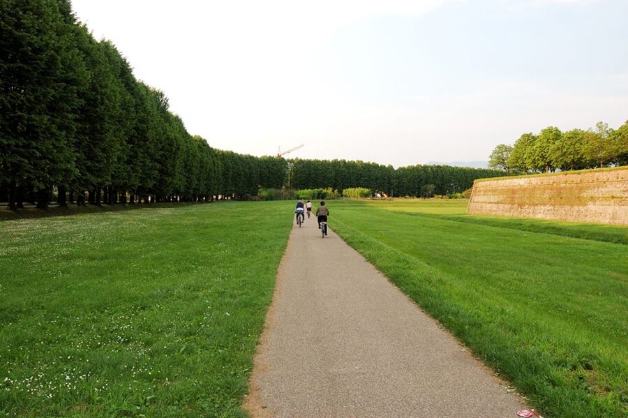 From Lucca to Pisa: Self-Guided Bike Tour - Key points before you book