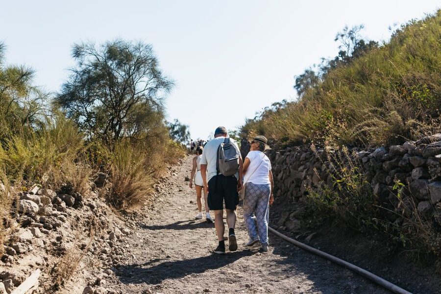 From Naples: All-Inclusive Mount Vesuvius Half-Day Tour - Is $75 a Fair Price?