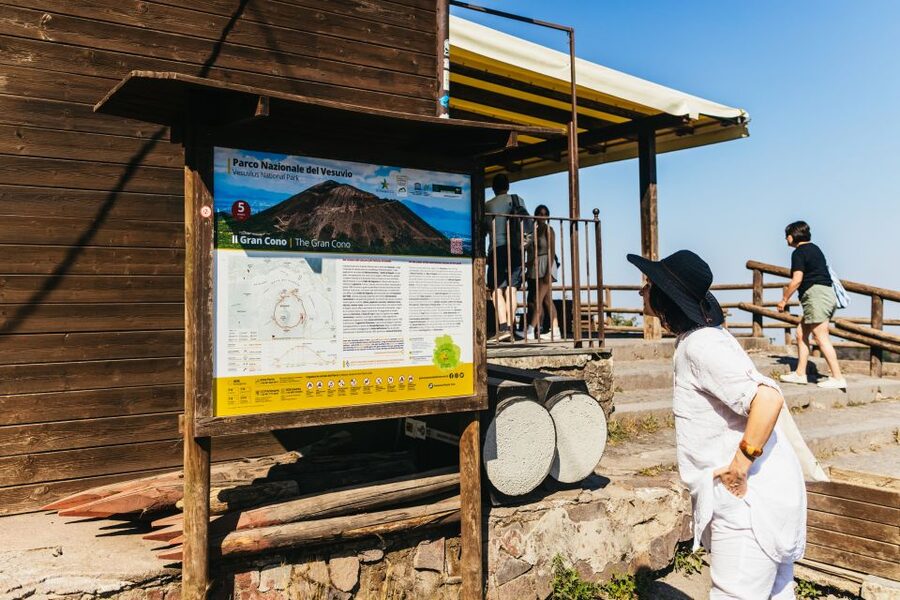 From Naples: All-Inclusive Mount Vesuvius Half-Day Tour - Who Should Book This Experience?