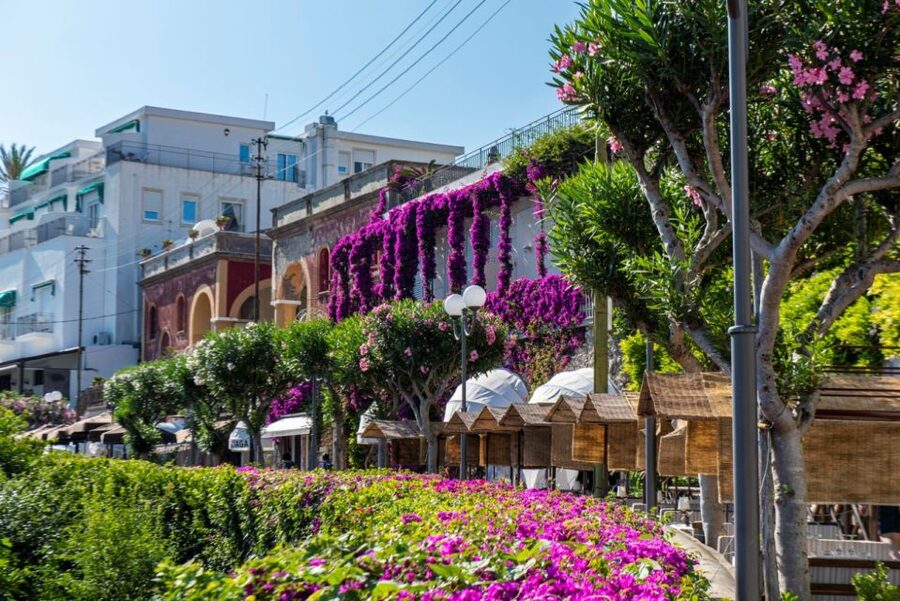 From Naples: Capri, Anacapri, and Blue Grotto Full-Day Trip - Pace, comfort, and physical demands