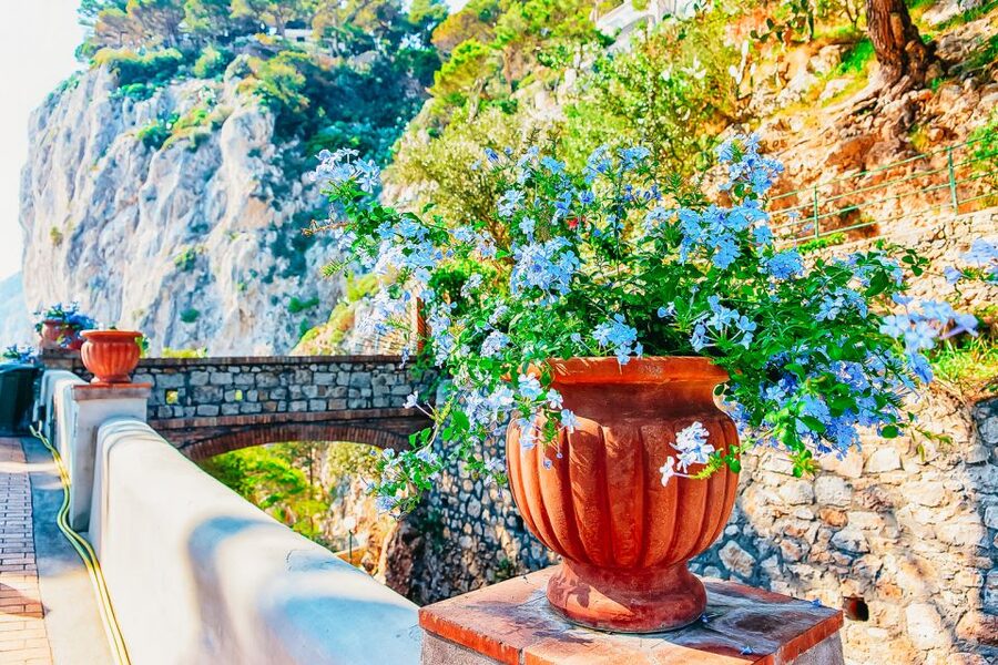 From Naples: Capri and Blue Grotto Day Tour - Meeting at Molo Beverello in Naples