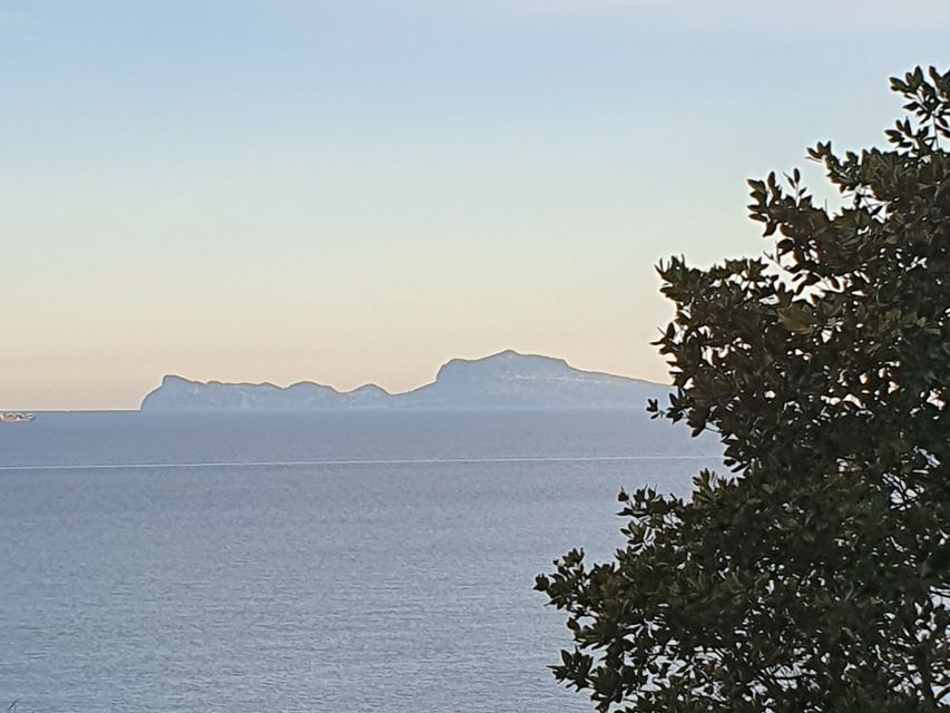 From Naples: Capri Day Trip with Lunch - Key Points to Know Before You Book