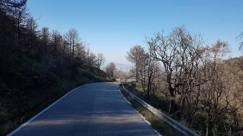 From Naples: Day Trip to Mount Vesuvius - Who should book this Vesuvius trip?