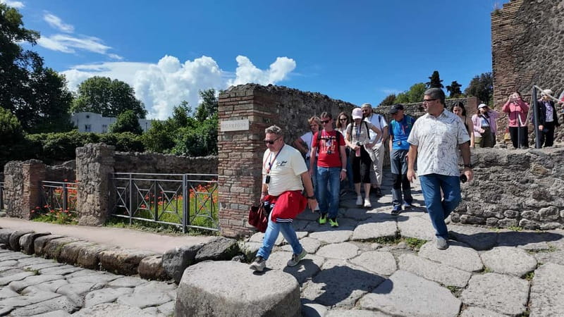 From Naples: Guided tour of Pompeii skip-the-line and round-trip train - Meeting at Napoli Centrale