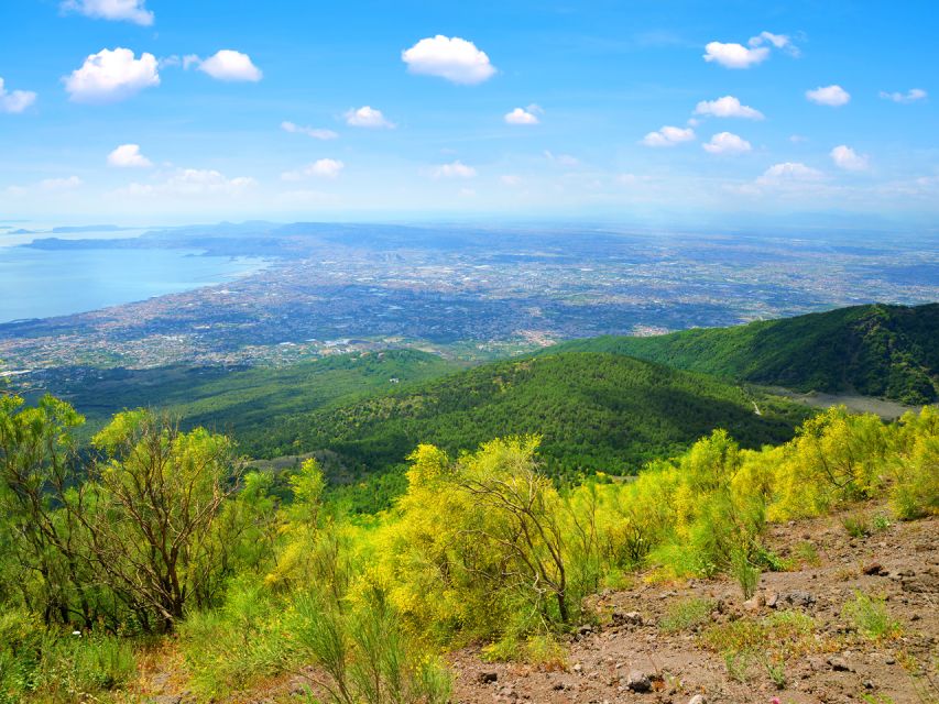 From Naples: Mount Vesuvius and Pompeii Ruins Combo Day Trip - Key points to know before booking