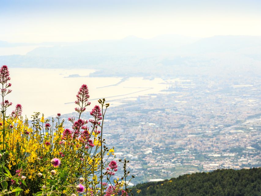 From Naples: Mount Vesuvius and Pompeii Ruins Combo Day Trip - Is the price good value?