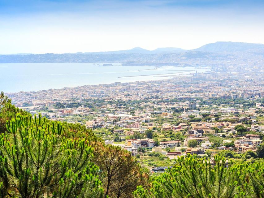 From Naples: Mount Vesuvius Transfer with Entry Tickets - The 40-minute ride toward the volcano