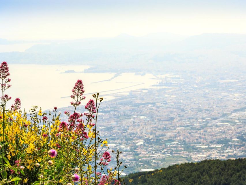 From Naples: Mount Vesuvius Transfer with Entry Tickets - What the $51.24 price really buys