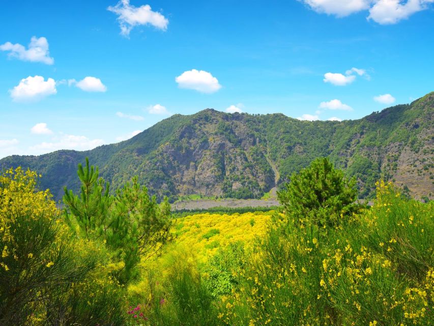 From Naples: Mount Vesuvius Transfer with Entry Tickets - Who should book this transfer?