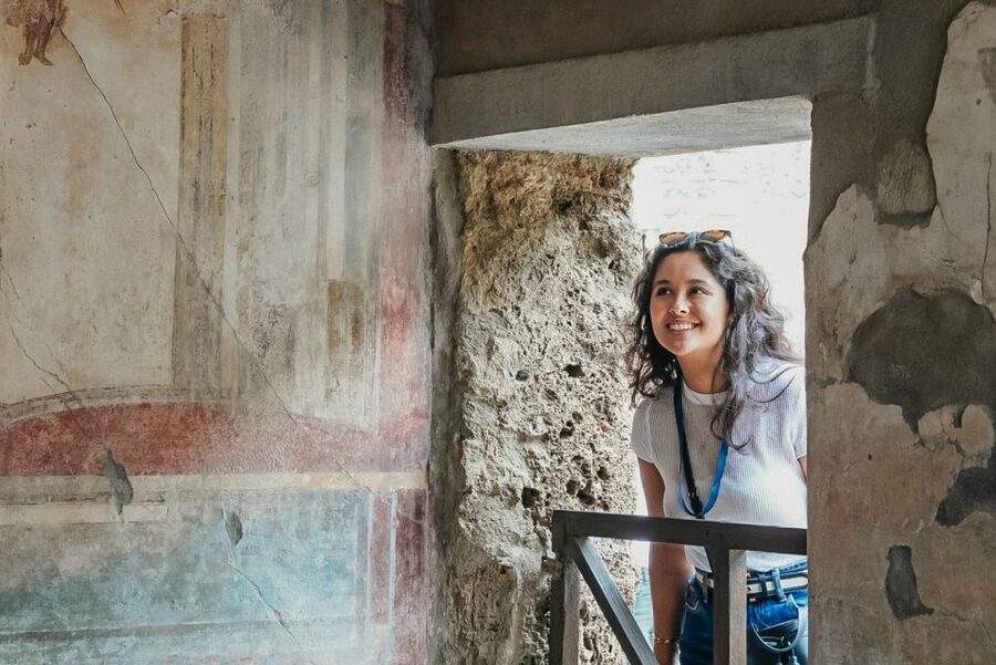 From Naples or Sorrento: Pompei Half-Day Tour - Leaving Naples or Sorrento by air-conditioned van