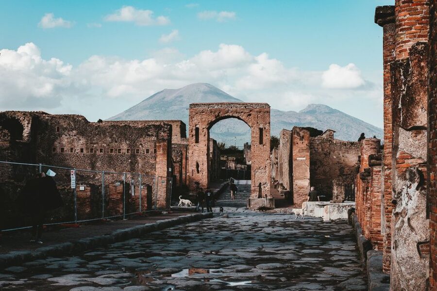 From Naples: Pompeii and Herculaneum Tour with Lunch - Who will get the most from this day?