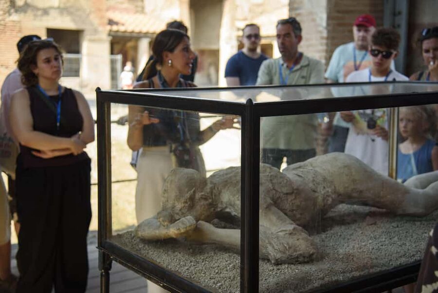 From Naples: Pompeii and Vesuvius Guided Day Trip with Lunch - Who should book this tour?