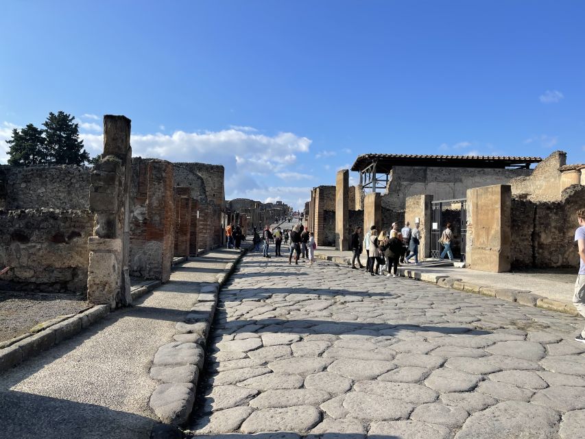 From Naples: Pompeii Guided Tour with Skip-the-Line Tickets - Five things to know before booking
